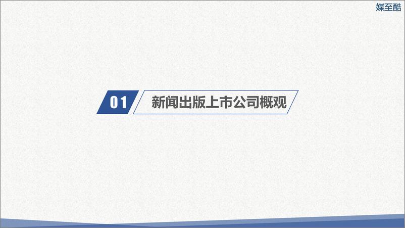 《媒至酷：2018新闻出版上市公司年度绩效数据报告》 - 第4页预览图