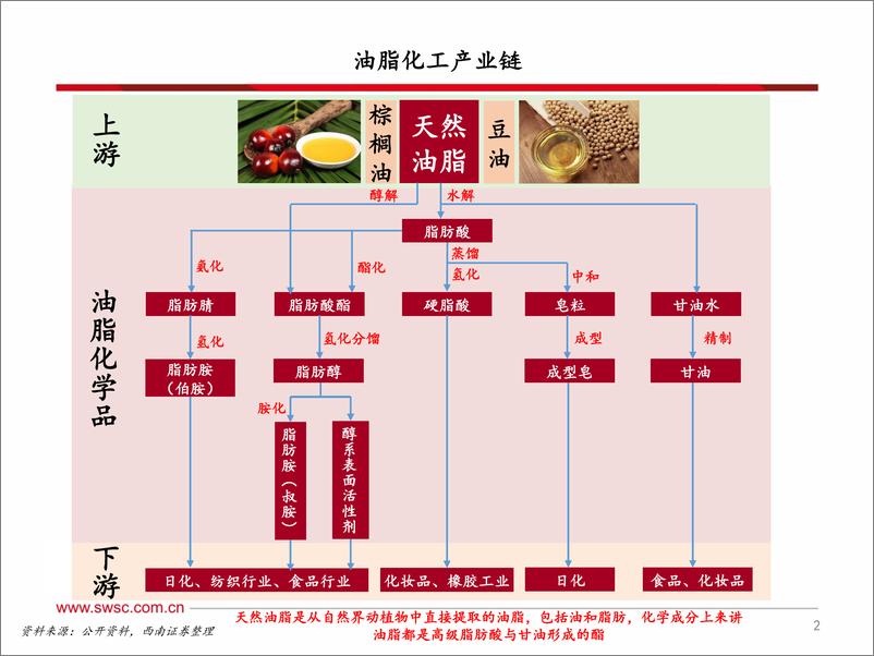 《化工行业：油脂化工产业链分析框架-20190816-西南证券-44页》 - 第4页预览图