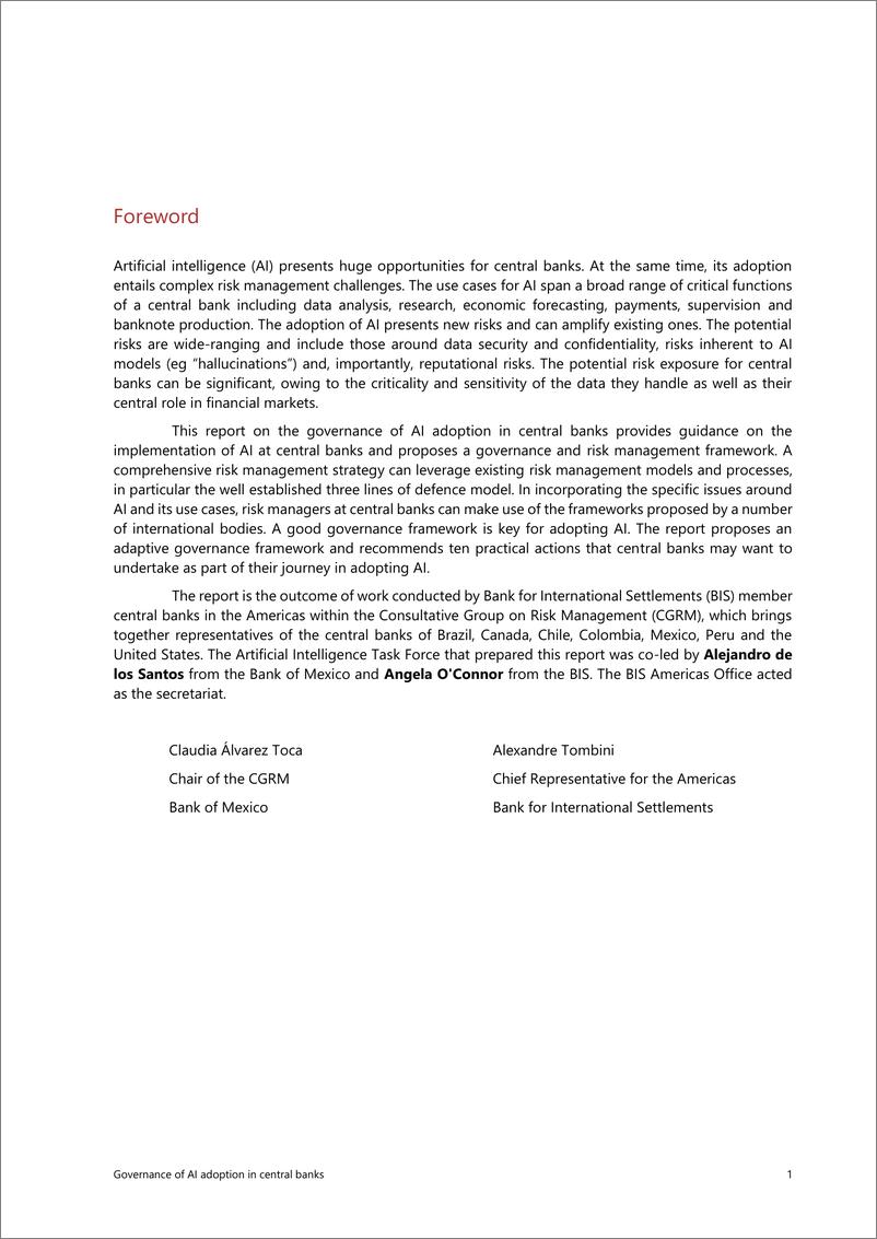 《国际清算银行-中央银行人工智能采用的治理（英）-2025.1-49页》 - 第5页预览图