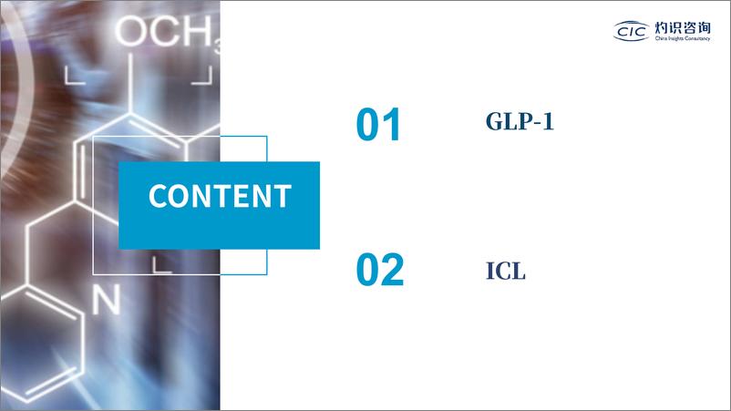 《灼识咨询-中国GLP-1药物及ICL行业报告-2023.6-18页》 - 第3页预览图