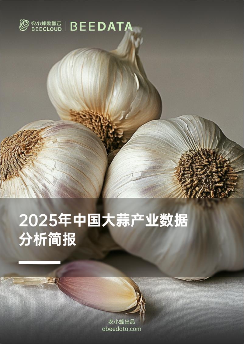 《农小蜂-2025年中国大蒜产业数据分析简报》 - 第1页预览图