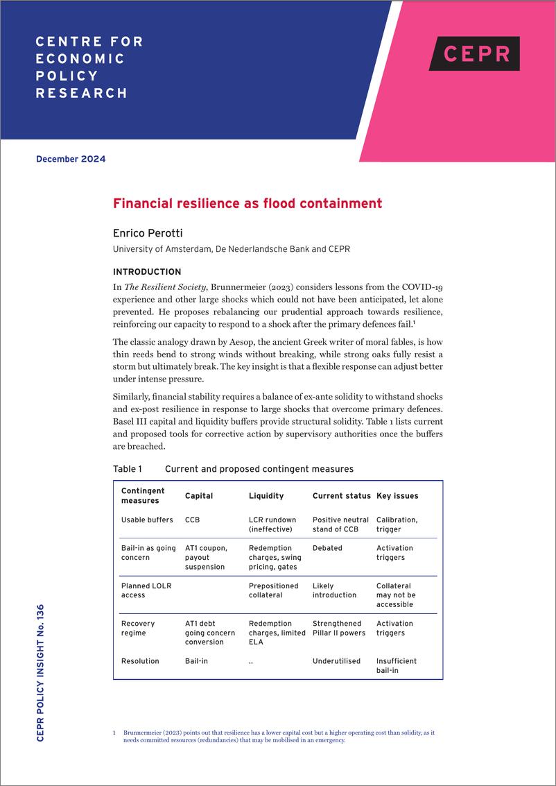 《CEPR-金融弹性作为防洪措施（英）-2024.12-11页》 - 第1页预览图