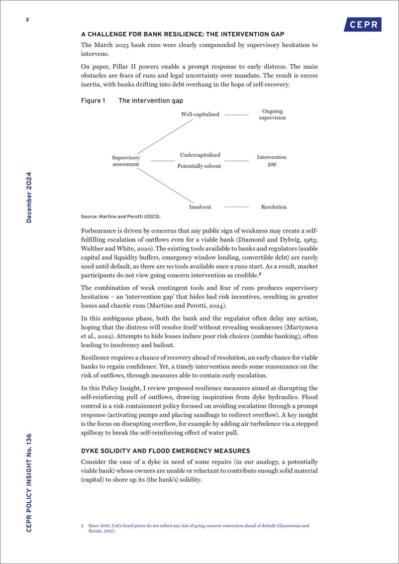 《CEPR-金融弹性作为防洪措施（英）-2024.12-11页》 - 第2页预览图