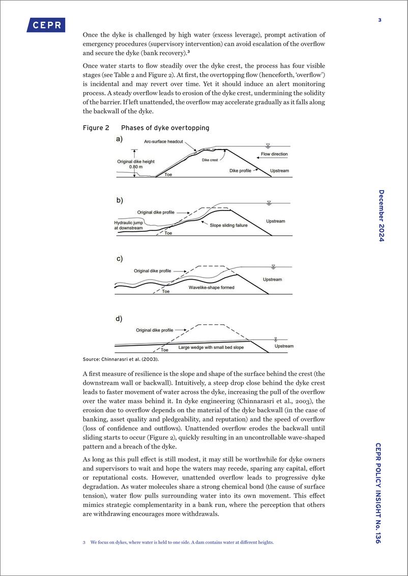 《CEPR-金融弹性作为防洪措施（英）-2024.12-11页》 - 第3页预览图