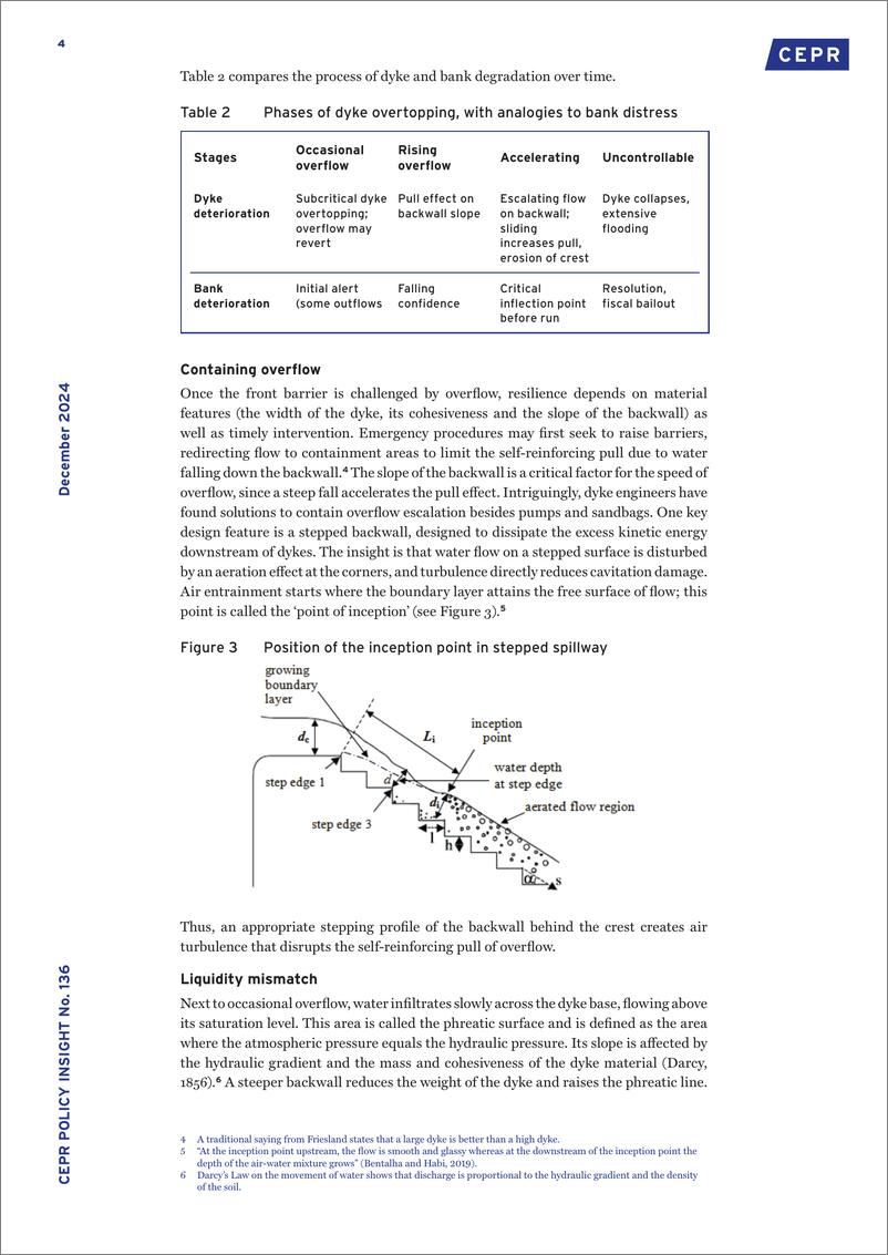 《CEPR-金融弹性作为防洪措施（英）-2024.12-11页》 - 第4页预览图