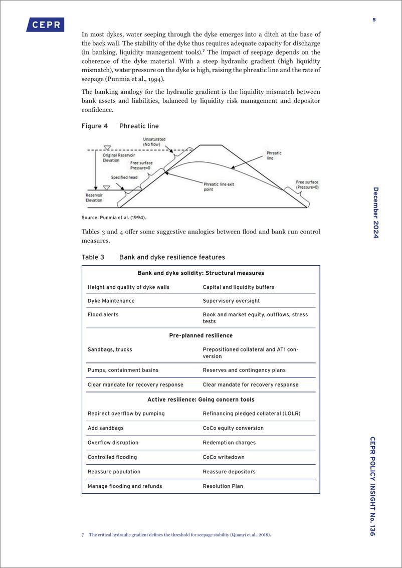 《CEPR-金融弹性作为防洪措施（英）-2024.12-11页》 - 第5页预览图