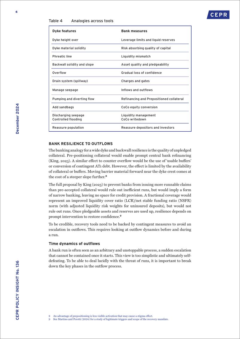 《CEPR-金融弹性作为防洪措施（英）-2024.12-11页》 - 第6页预览图