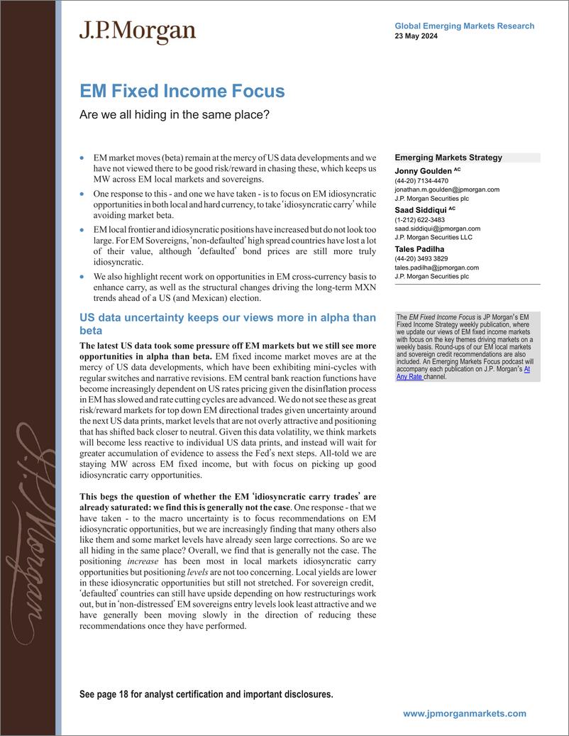 《JPMorgan Econ  FI-EM Fixed Income Focus Are we all hiding in the same place-108368787》 - 第1页预览图