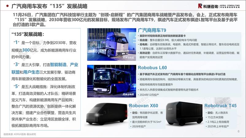 《2024年12月轻型商用车市场预测研究报告》 - 第6页预览图