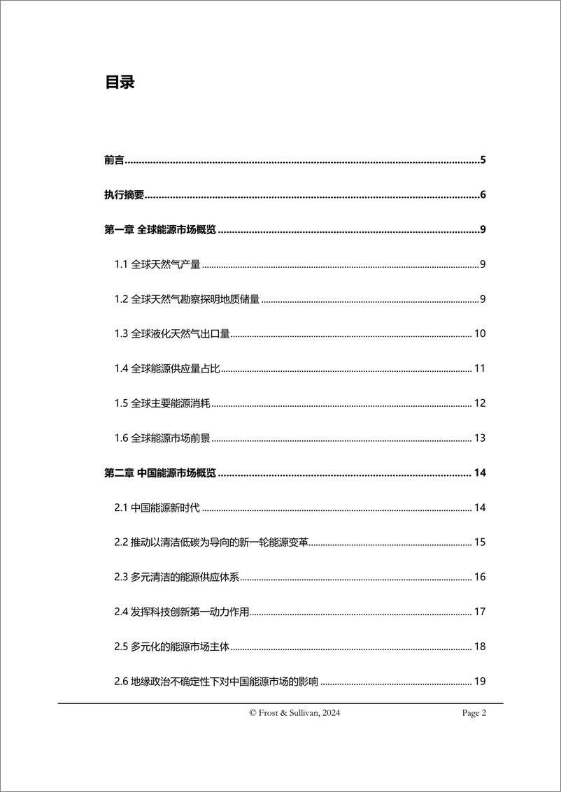 《中国天然气市场独立研究报告-49页》 - 第2页预览图