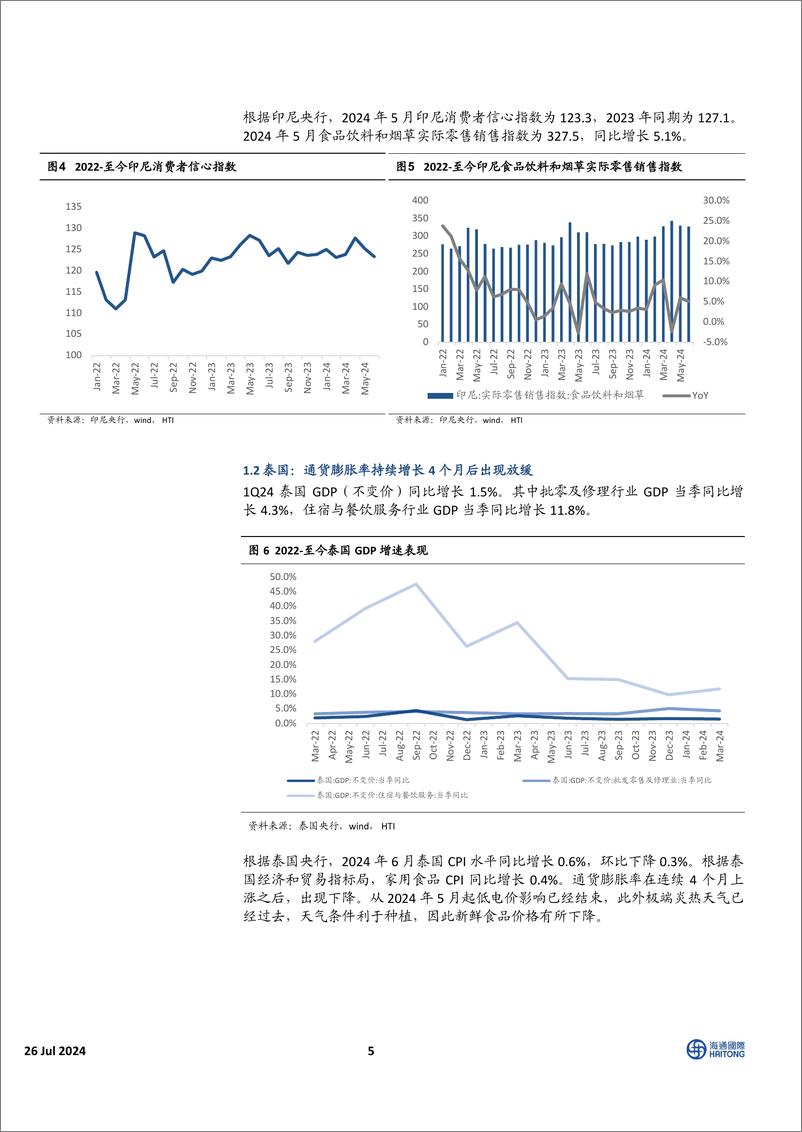 《HTI东南亚消费行业6月跟踪报告：区域经济增长表现超预期，消费指数表现有所回落-240726-海通国际-30页》 - 第5页预览图