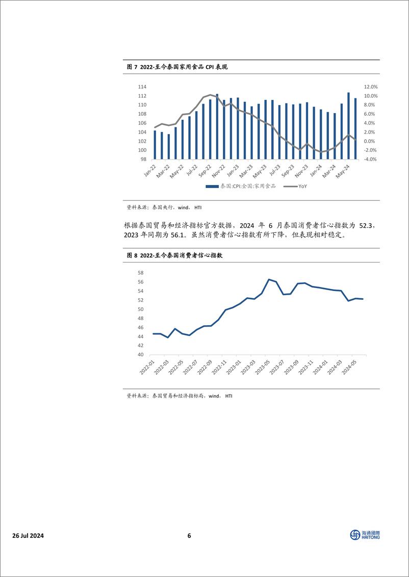 《HTI东南亚消费行业6月跟踪报告：区域经济增长表现超预期，消费指数表现有所回落-240726-海通国际-30页》 - 第6页预览图