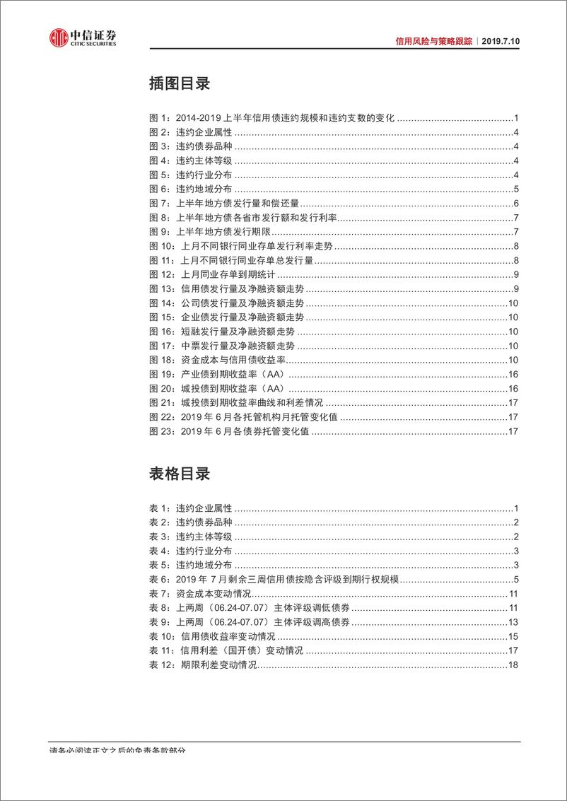 《信用风险与策略跟踪：信用风险不绝于耳，地方债发行再创新高-20190710-中信证券-23页》 - 第4页预览图