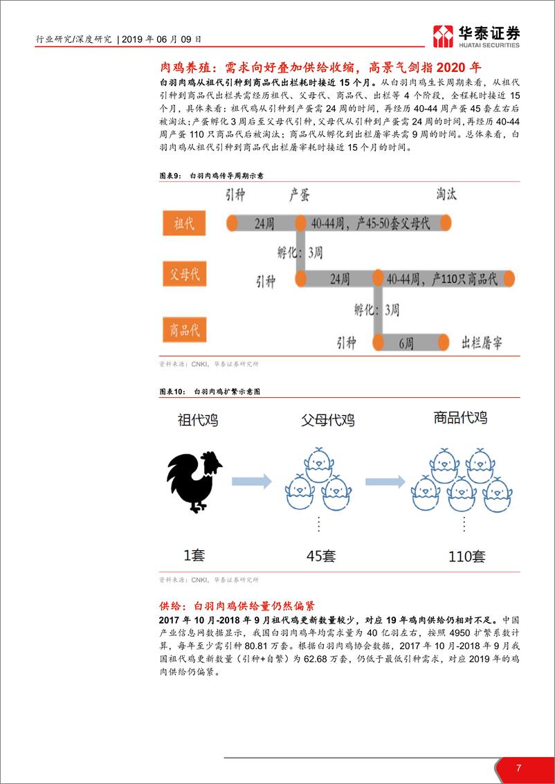 《养殖行业深度报告：猪鸡共舞，拥抱农业黄金时代-20190609-华泰证券-15页》 - 第8页预览图