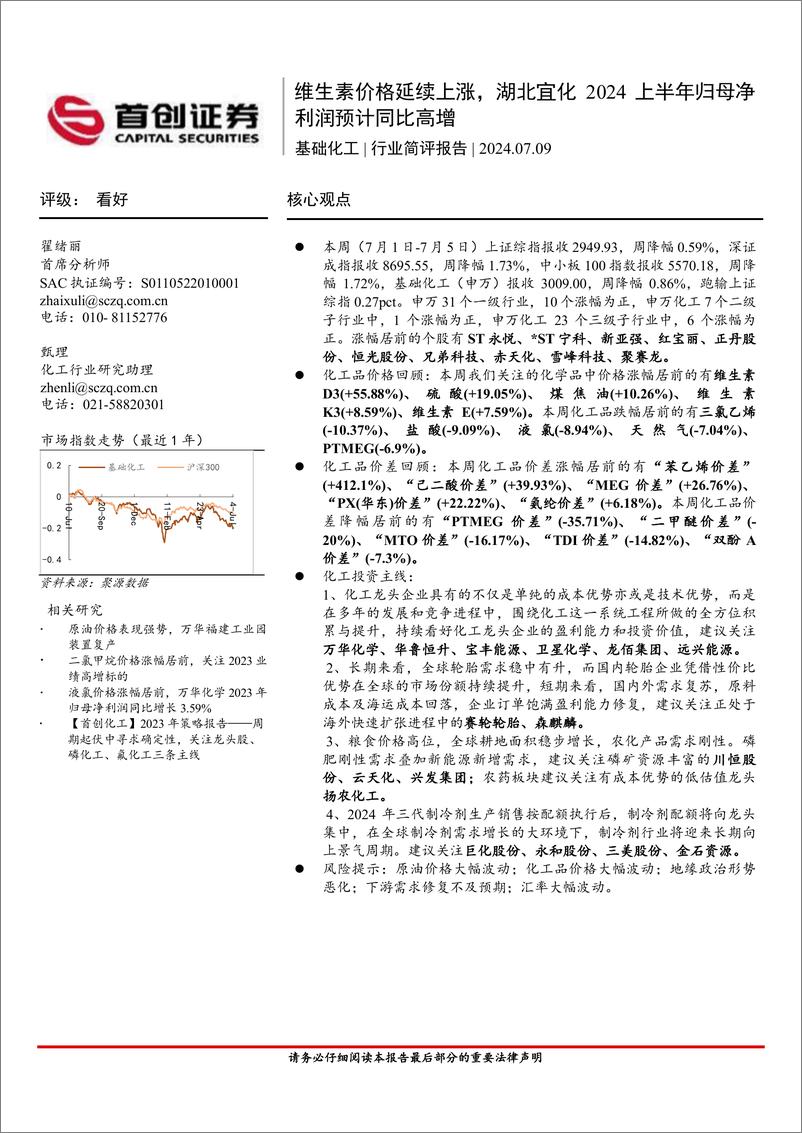 《基础化工行业简评报告：维生素价格延续上涨，湖北宜化2024上半年归母净利润预计同比高增-240709-首创证券-16页》 - 第1页预览图