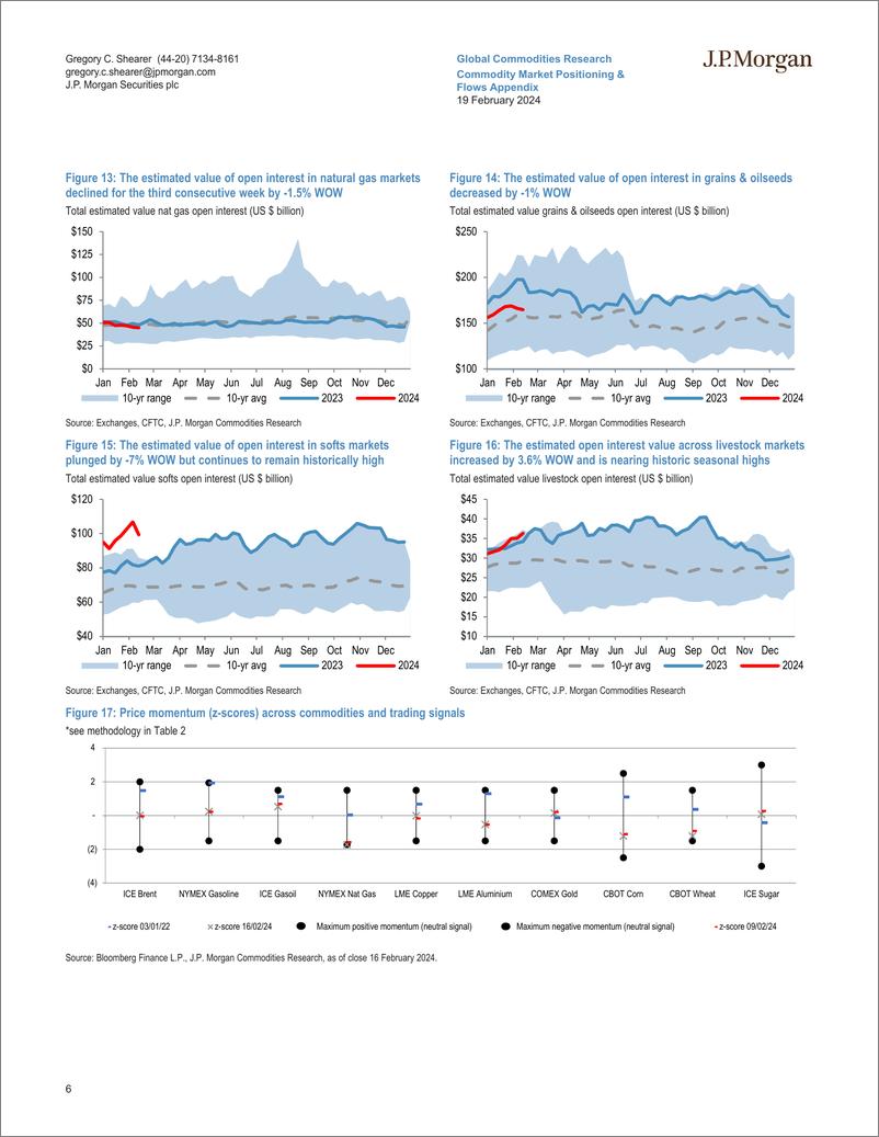 《JPMorgan Econ  FI-Commodity Market Positioning  Flows Appendix Crude leads fi...-106590894》 - 第6页预览图