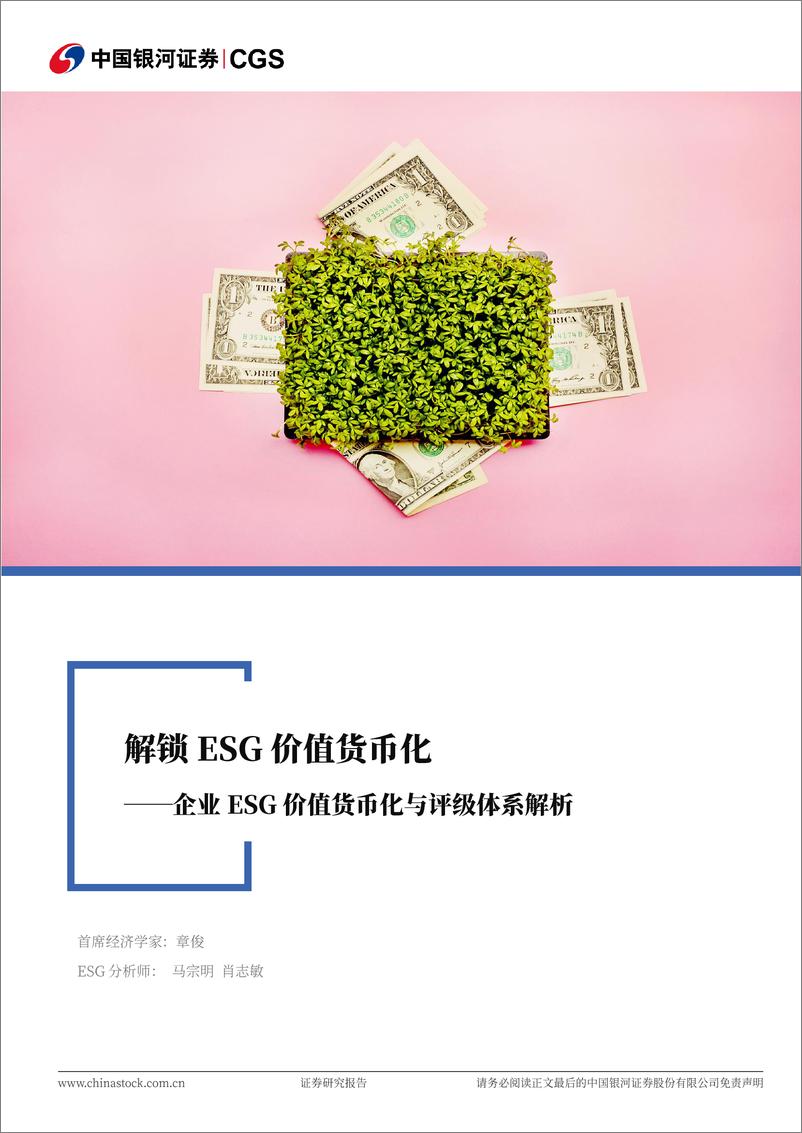 《企业ESG价值货币化与评级体系解析_解锁ESG价值货币化》 - 第1页预览图