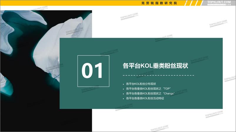 《2021年看得见的粉丝价值：五大平台KOL粉丝分析研究报告-克劳锐-202104》 - 第5页预览图