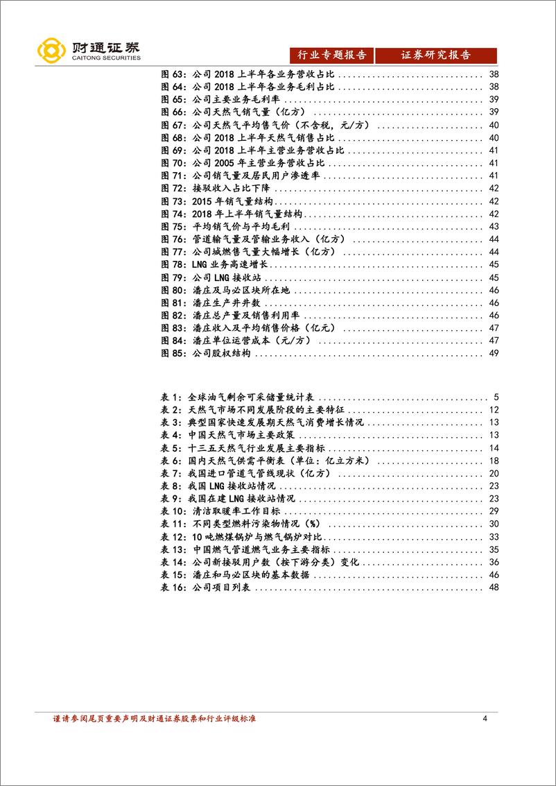 《天然气行业深度报告：中国进入行业发展快车道，有望迎来30年高速发展期-20190124-财通证券-50页》 - 第5页预览图