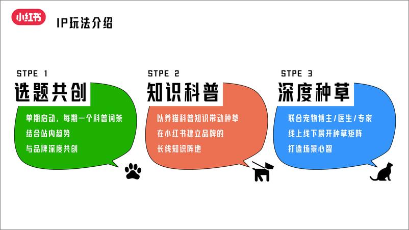 《2024年养宠百科全书通案-小红书-17页》 - 第6页预览图