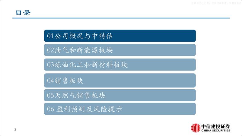 《中信建投-中国石油(601857)油气综合一体化龙头，业绩和估值提升空间仍显著-230529》 - 第3页预览图