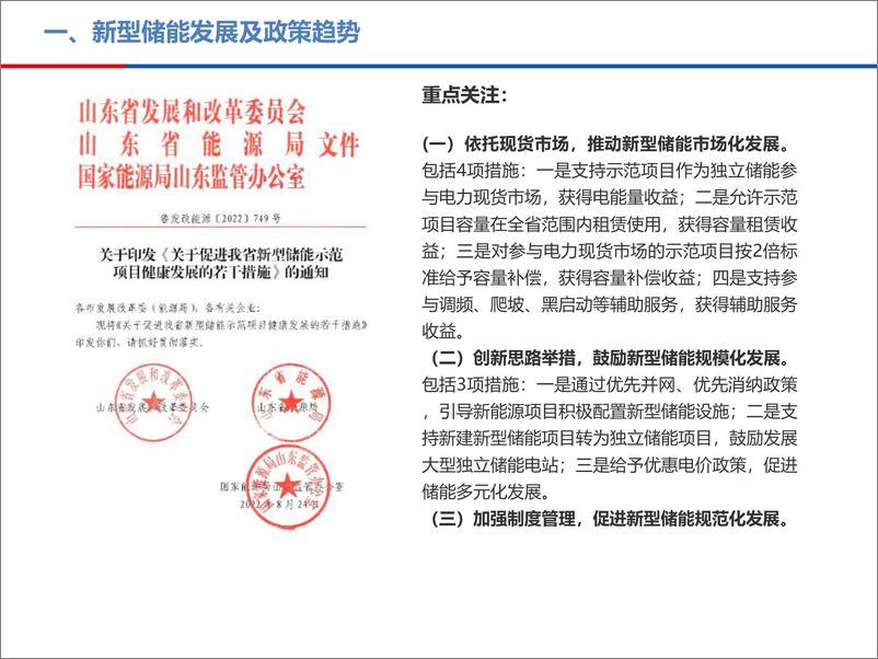 《新型储能发展及商业模式》 - 第6页预览图