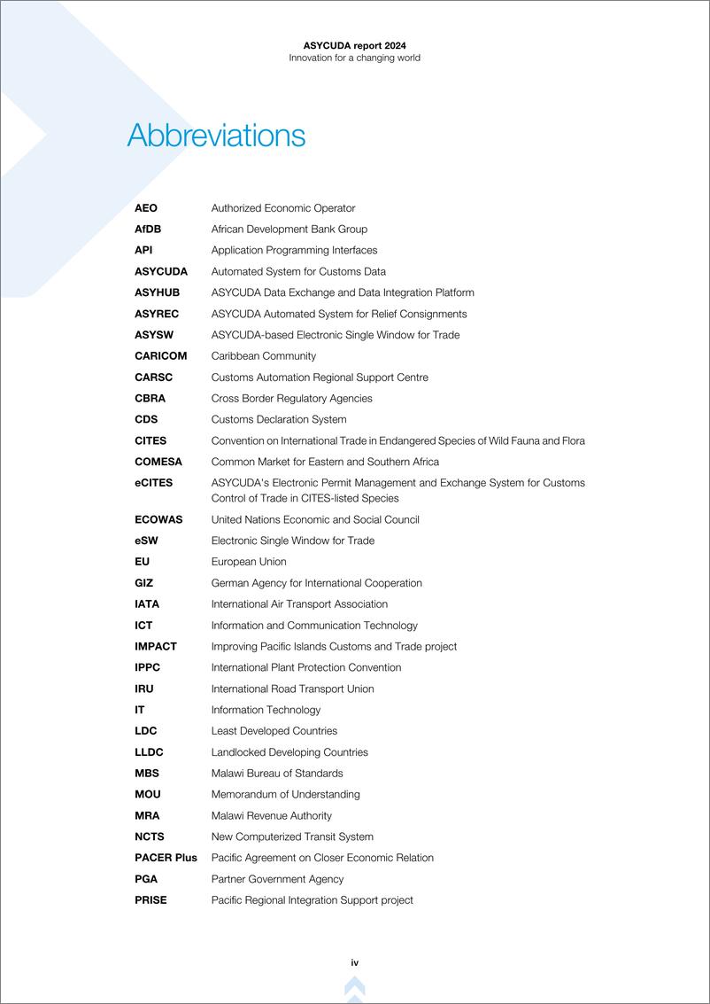 《2024 年 ASYCUDA 报告（英）-64页》 - 第6页预览图