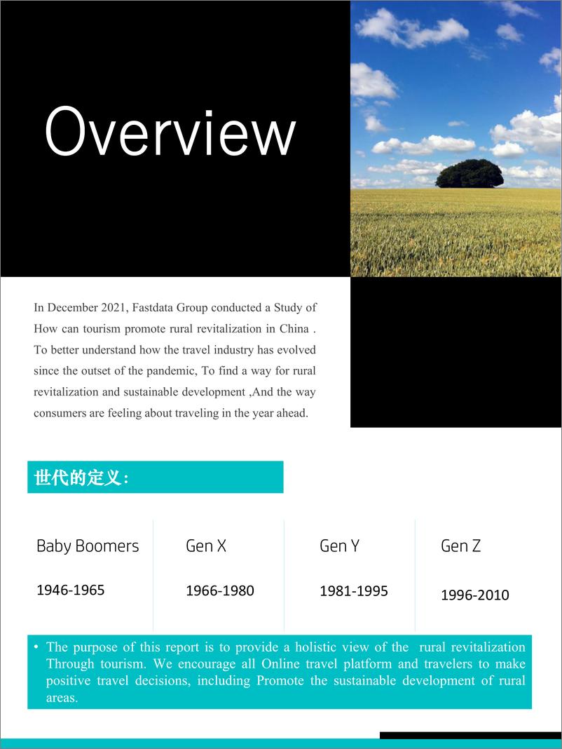 《2021年旅游助力中国乡村振兴研究报告-极数-202201》 - 第3页预览图