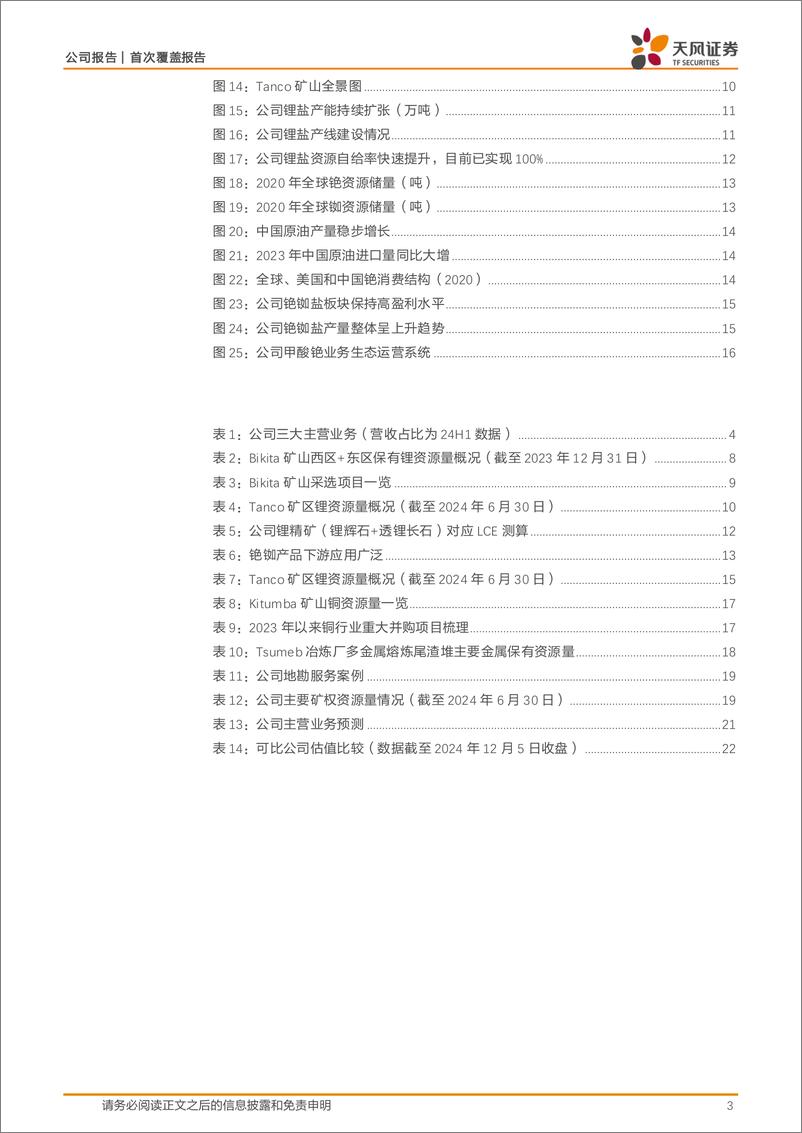 《中矿资源(002738)锂铯铷锗锌铜并举，地勘优势打造平台型资源巨头-241206-天风证券-25页》 - 第3页预览图