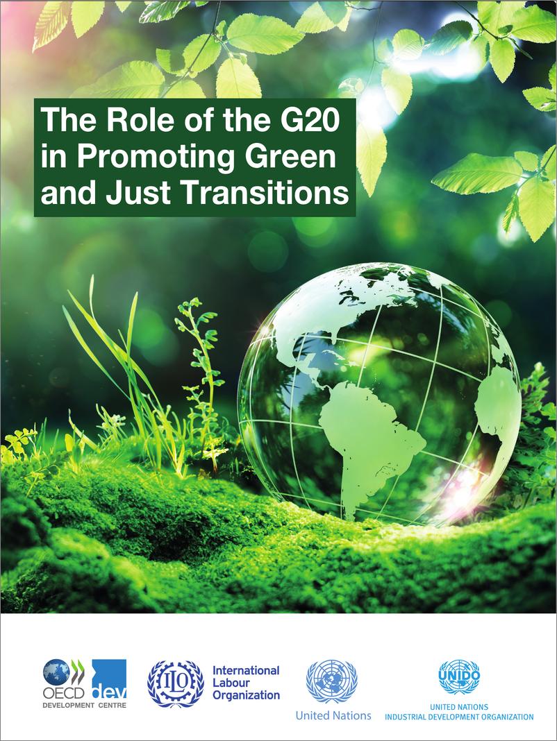 《G20 在促进绿色和公正转型方面的作用（英）-58页》 - 第1页预览图