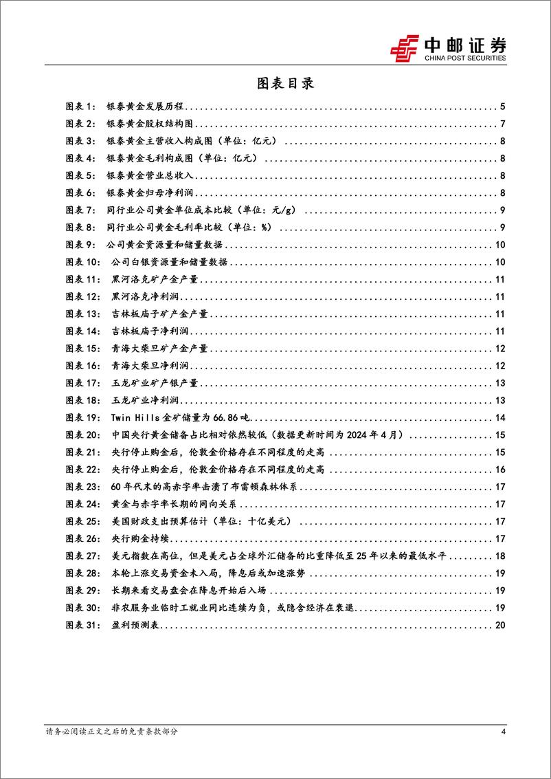 《银泰黄金(000975)战略规划确立增长蓝图，全球化布局蓄势待发-240627-中邮证券-24页》 - 第4页预览图