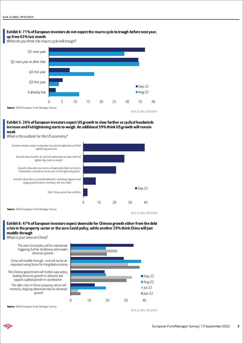 《BOEuropean Fund Manager Survey Universal gloom》 - 第4页预览图