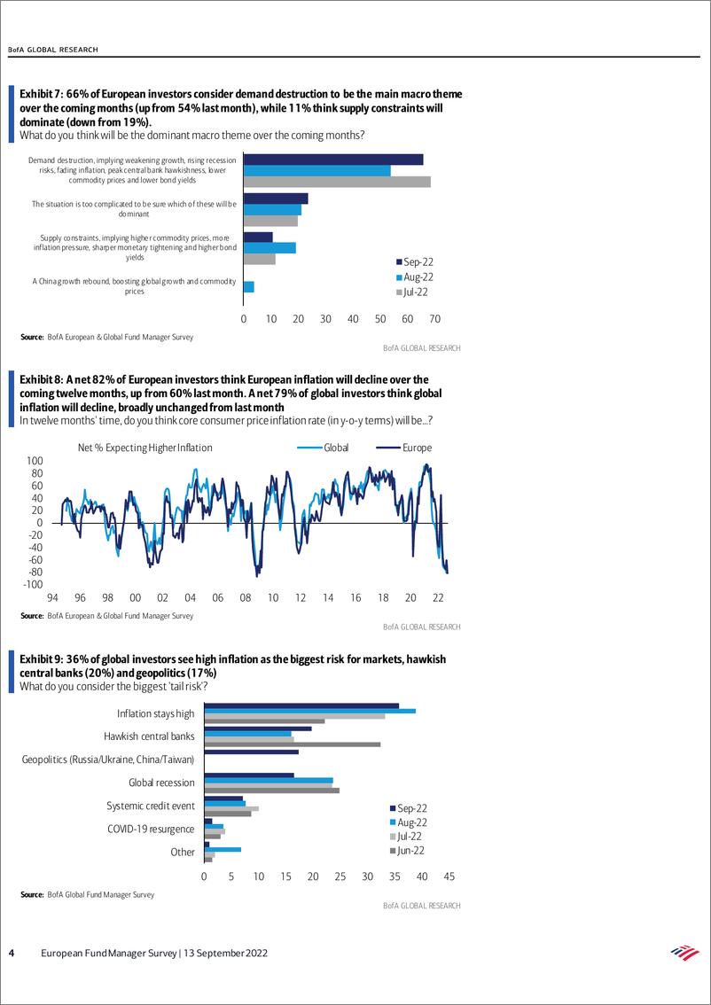 《BOEuropean Fund Manager Survey Universal gloom》 - 第5页预览图