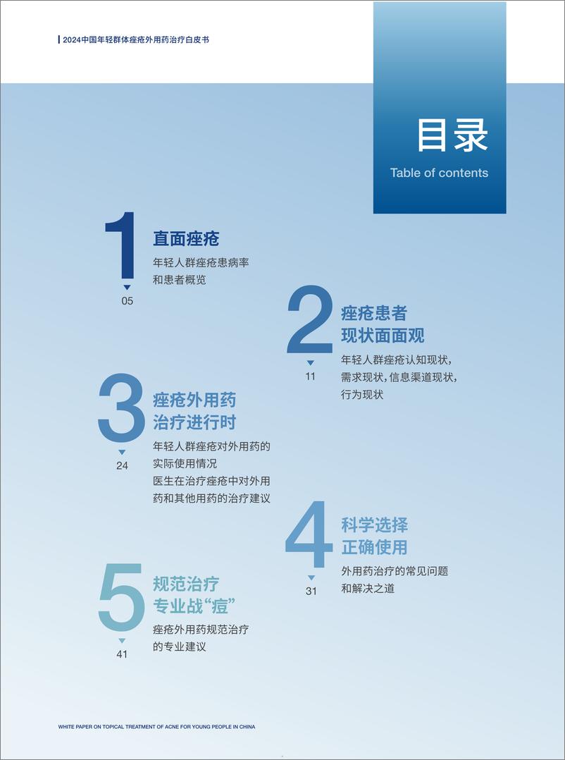 《赫力昂：2024中国年轻群体痤疮外用药治疗白皮书》 - 第5页预览图