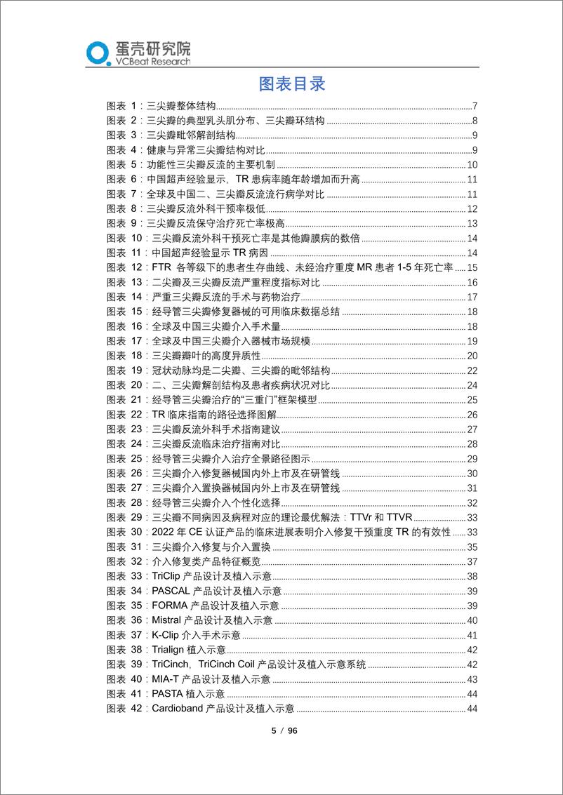 《蛋壳研究院-2023经导管三尖瓣介入治疗行业报告—三尖瓣不再被遗忘，中国创新闪耀全球-2023-96页》 - 第6页预览图