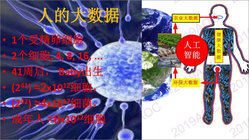 《2019中国农业展望大会：大数据与农业监测预警周楚大数据与人工智能在农业的应用与展望-2019.4-39页》 - 第4页预览图