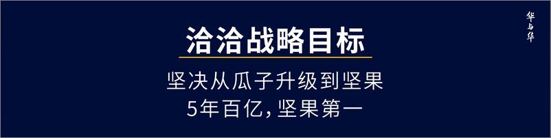 《华与华-瓜子品牌小黄袋百万演讲【品牌策略】【品牌定位】》 - 第4页预览图