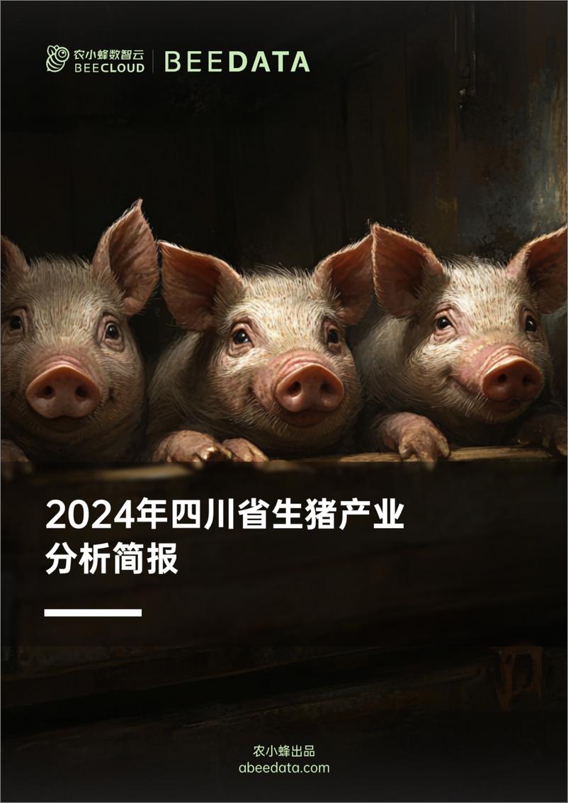 《农小蜂-2024年四川省生猪产业分析简报-19页》 - 第1页预览图