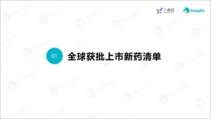 《丁香园：2024年6月全球新药月度报告-数据篇》 - 第3页预览图