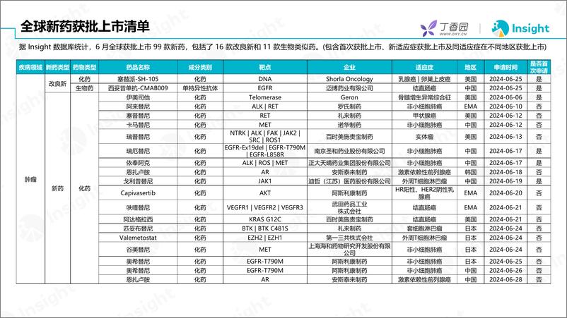 《丁香园：2024年6月全球新药月度报告-数据篇》 - 第4页预览图