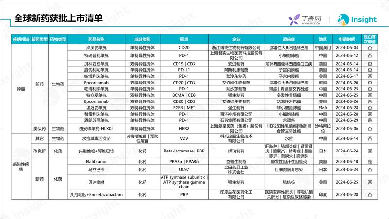 《丁香园：2024年6月全球新药月度报告-数据篇》 - 第5页预览图