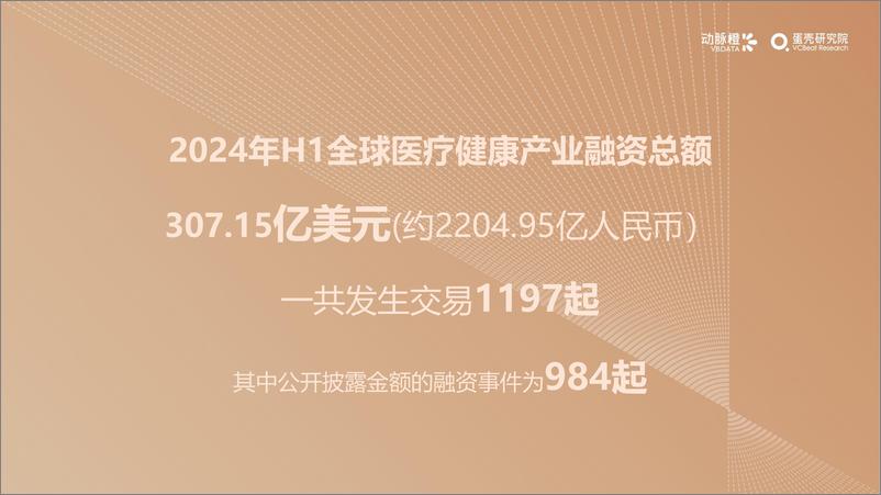 《2024年H1全球医疗健康投融资报告-动脉橙》 - 第6页预览图