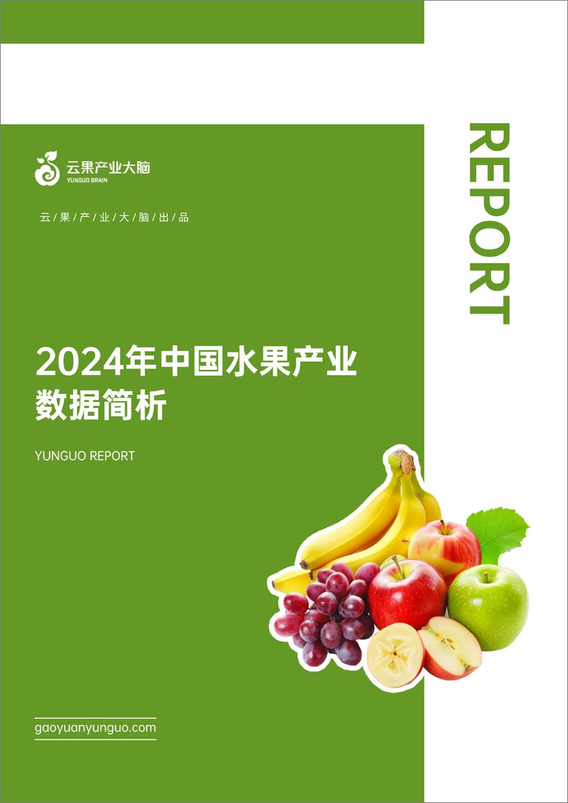 《2024年中国水果产业数据简析报告-云果》 - 第1页预览图