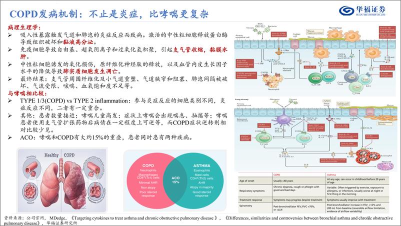 《华福证券-医药生物行业专题报告：Verona Pharma：COPD疗效再上一个台阶》 - 第7页预览图
