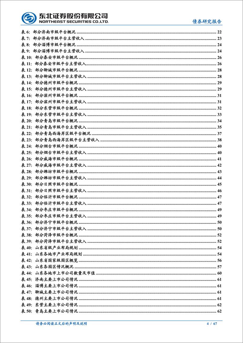 《固收城投债深度报告：山东城投的方方面面-20230303-东北证券-67页》 - 第5页预览图