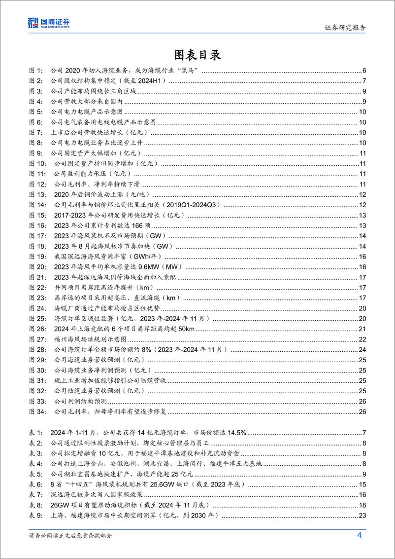 《起帆电缆(605222)公司深度研究：海缆黑马布局收获在望，有望迎二次成长期-241218-国海证券-31页》 - 第4页预览图