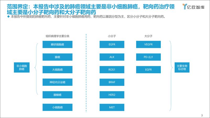 《2022年靶向药的破局之路：肺癌篇-亿欧智库-2022.1-43页(1)》 - 第4页预览图