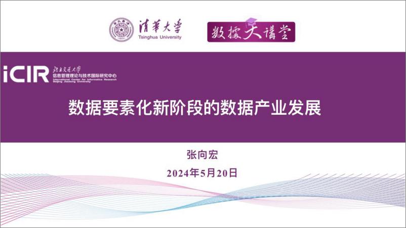 《清华大学（张向宏）-2024数据要素化新阶段的数据产业发展报告-2024.5.20-41页》 - 第1页预览图