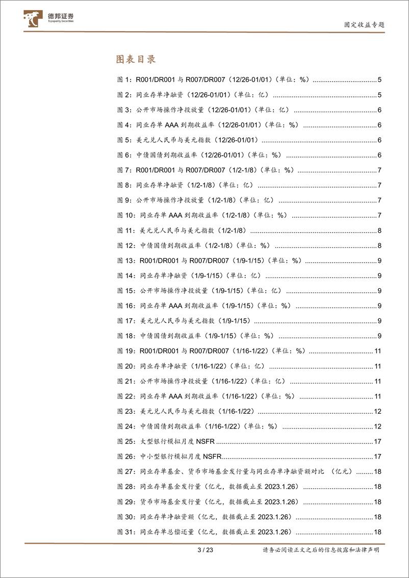 《固定收益专题：2月流动性会收紧吗？如何看春节后的存单利率-20230202-德邦证券-24页》 - 第5页预览图