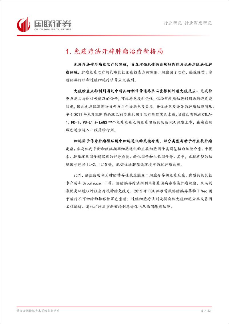 《国联证券-医药生物行业深度研究_肿瘤免疫赛道谁能延续大单品传奇_》 - 第6页预览图